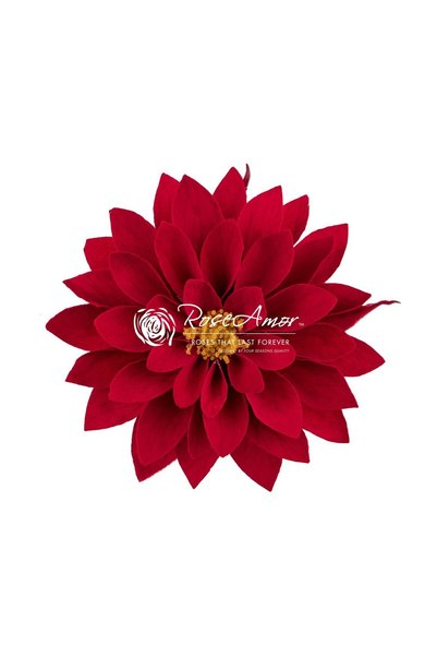 asievents Dalia roșie criogenizată Red02, 2 buc