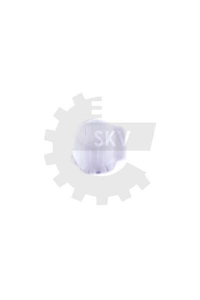 ESEN SKV BUCȘĂ, COLIVIE SCHIMBĂTOR IVECO 5801260773