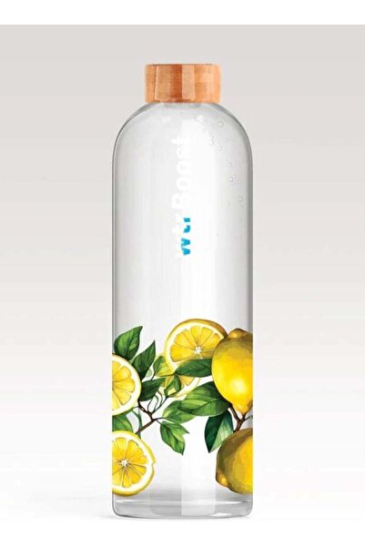 Generic wtrBoost Amalfi Borosilicate Glass Water Bottle – 500ml Reusable Leak...