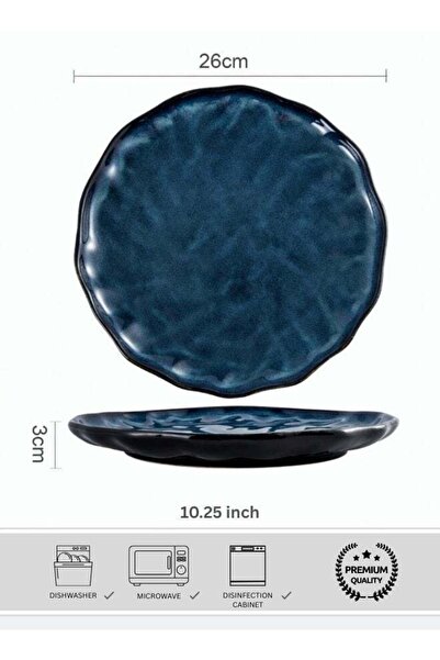 Generic Japanese Style Ceramic Dinner Plate, Premium Porcelain Plate 10.25 in...