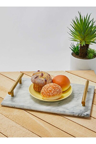 Generic Tray With Holder