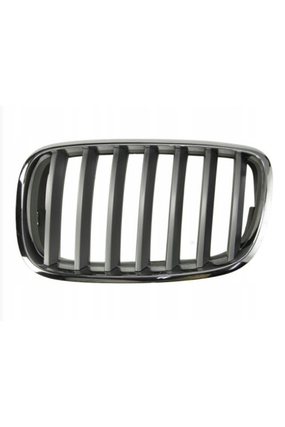 Polcar BMW X5 E70 X6 E71 grilă frontală stânga