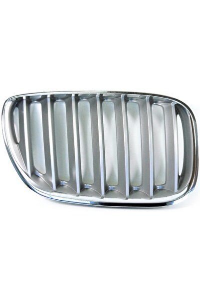 Polcar BMW X5 E53 2003-2006 grilă de protecție dreapta