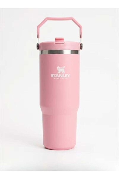 Generic Stanley 30oz Stainless Steel Tumbler – Double Wall Vacuum Insulated T...