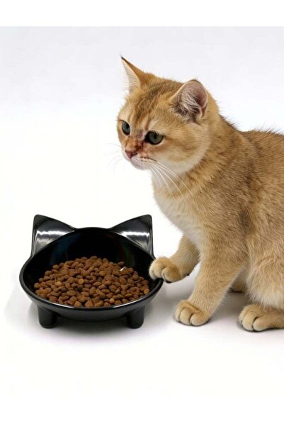 Generic Cat Bowls Anti-slip Multi-purpose Cat Food Bowl Pet Water Bowl Cat Fe...