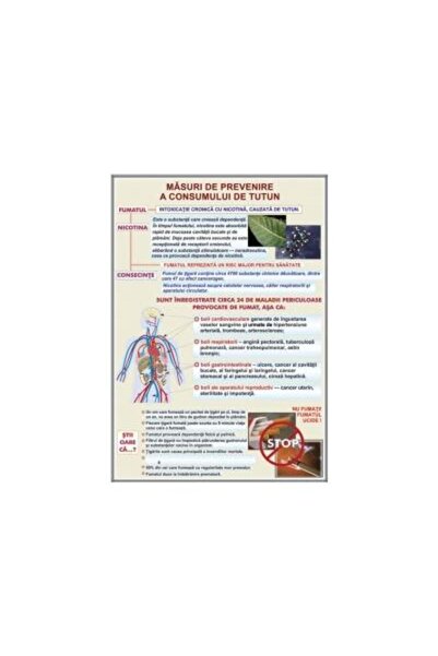 Eurodidactica Masuri de prevenire a consumului de tutun