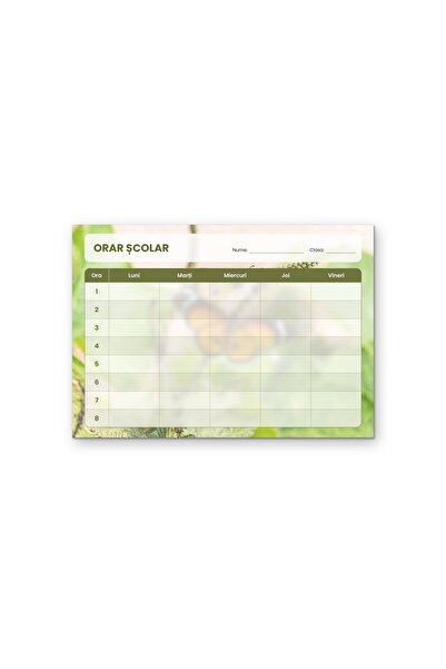 OEM Orar Școlar Fluturi, Design Peisagistic Luni-Vineri, Carton 250g, Format A4
