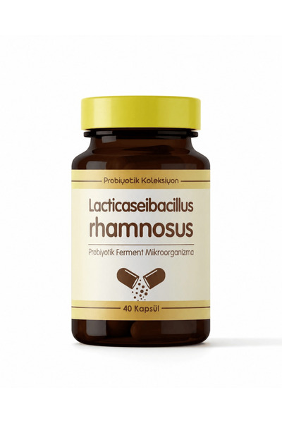 Lacticaseibacillus rhamnosus