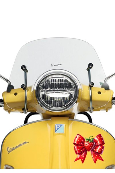 MegaSticker Strawberry Bow Sticker Car, Motorcycle, Helmet, Laptop, Glass Sticker 13X13 cm