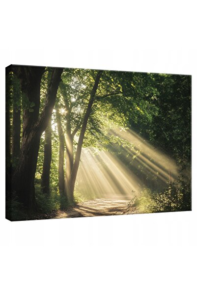 Wallarena TABLOU PE Pânză ARTĂ DE PERETE NATURĂ PĂDURE LEMN PENTRU DORMITOR S...