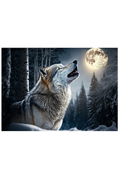 Wallarena Tapet foto WILK THE MOONS cu tematică de noapte pentru dormitor și ...