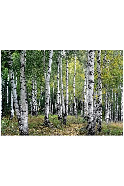 Wallarena FOTOTAPET 3D MĂRILE DE MĂRĂNĂTĂ PENTRU DORMITOR ȘI SUFRAGERIE, TAPE...