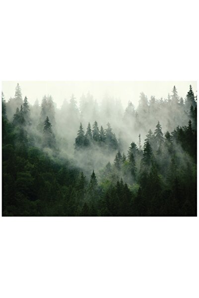 Wallarena Tapet foto LAS WE MGLE pentru dormitor și living, tapet FLIZELINA 3...