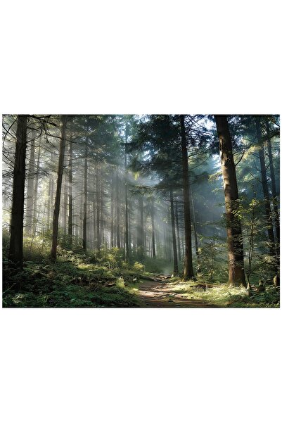 Wallarena Tapet foto 3D cu copaci din lemn și peisaj natural pentru dormitor ...