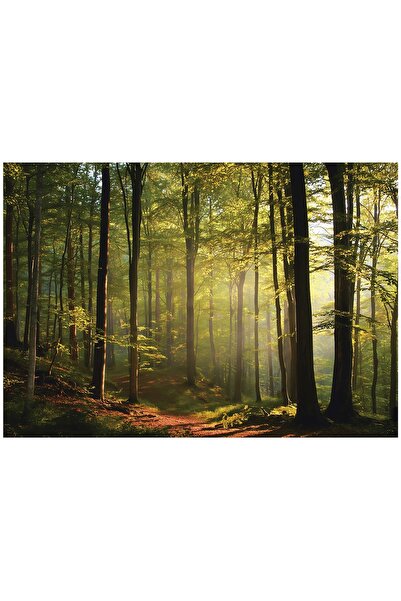 Wallarena FOTOTAPETA ARBORELE SOAREI NESTĂVĂREȘTI PE PERETE DORMITOR SUFRAGER...