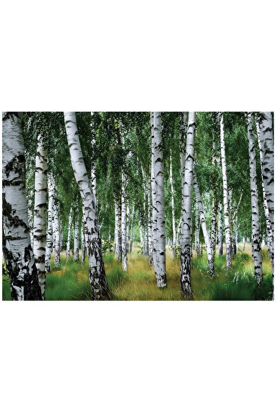 Wallarena FOTOTAPET MĂRILE DE MĂRĂȘI NATURĂ PE PERETE DORMITOR SUFRAGERIE 350...
