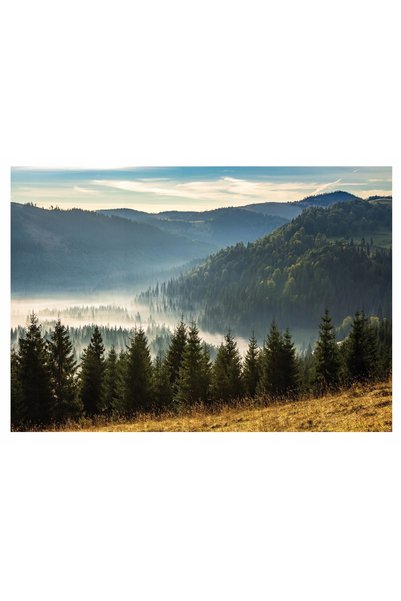 Wallarena Fototapet MUNȚI ÎN CEAȚĂ Las Krajobraz Fog 368x254