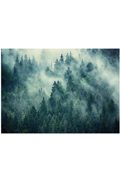 Wallarena Tapet foto verde LAS WE MGLE pentru dormitor și living 350x250