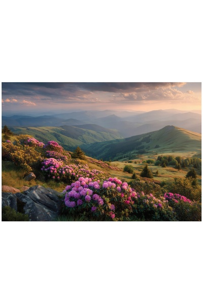 Wallarena FOTOTAPET MUNȚI PEISAJ NATURĂ DORMITOR SUFRAGERIE FLIZELINA 300x210
