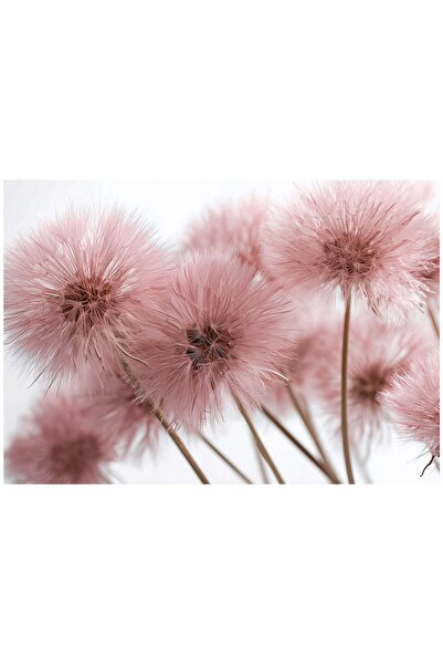 Wallarena FOTOTAPET FLUTURI ROZ NATURĂ DECOR DE PERETE 3D DORMITOR SUFRAGERIE...