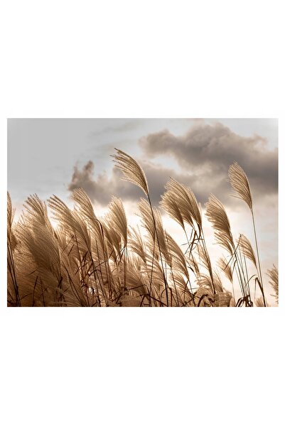 Wallarena Tapet foto Iarbă de Pampas pentru dormitor 254x184
