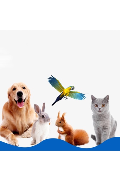 POPETPOP Unghieră electrică pentru animale cu lumină LED și pilă