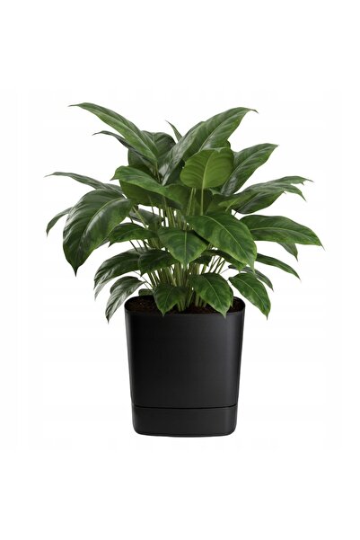 HowHomely GHIVECI CU SUBSTANDARD NEGRU 34x34 cm, ghiveci pătrat din plastic p...