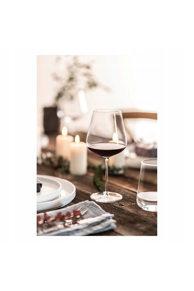 Schott Zwiesel VERVINO Universal 685ml CRISTAL x2