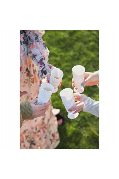 Sagaform Pahare de picnic pentru șampanie 4 bucăți 0,2 L