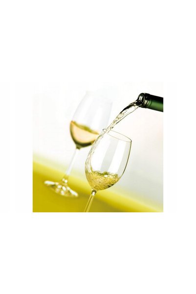 TESCOMA CHARLIE pahare de vin alb de 350 ml, 6 bucăți