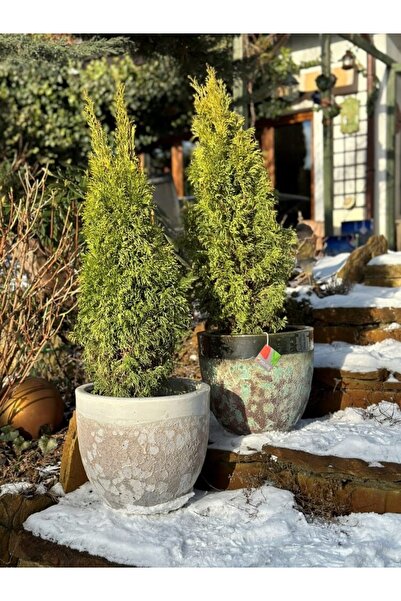 Polnix Husă ceramică rotundă pentru ghiveci, Vintage, zgnita greenery, 30 cm