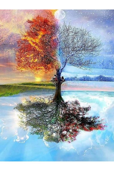 Norimpex Pictură pe numere Copac Patru Anotimpuri 50x40 cm Pe Ramă Creativ