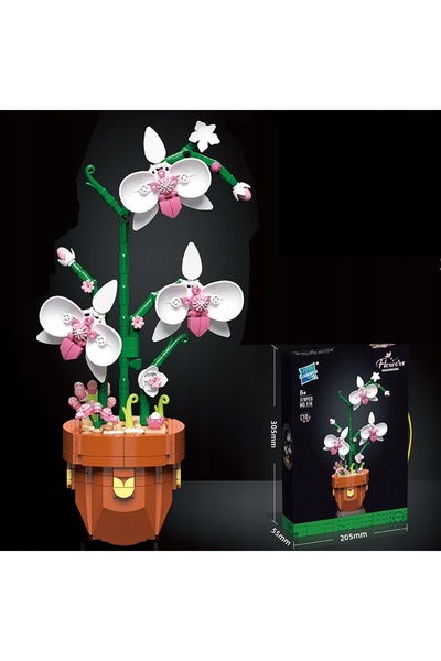 NO BRAND Garofă în ghiveci din blocuri, Blocuri ORCHID, floare de grădină pen...