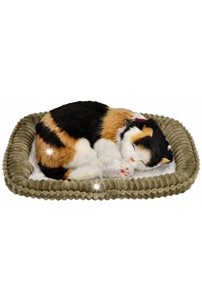 Perfect Petzzz Pisică adormită respirabilă, pisicuță în trei culori, pisicuță...