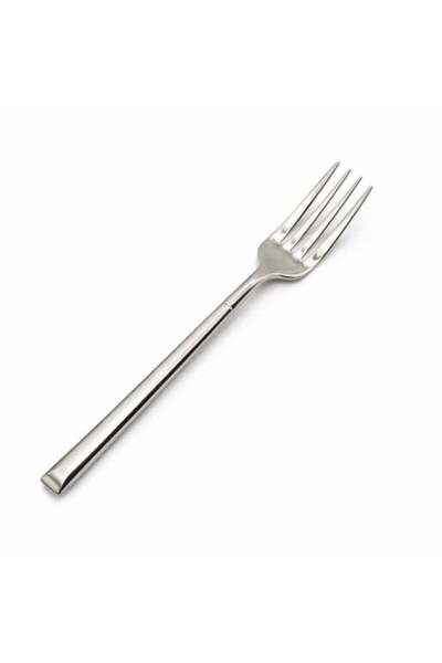Generic BERAM Stainless Gleam Dining Fork – 304 Stainless Steel Flatware for ...