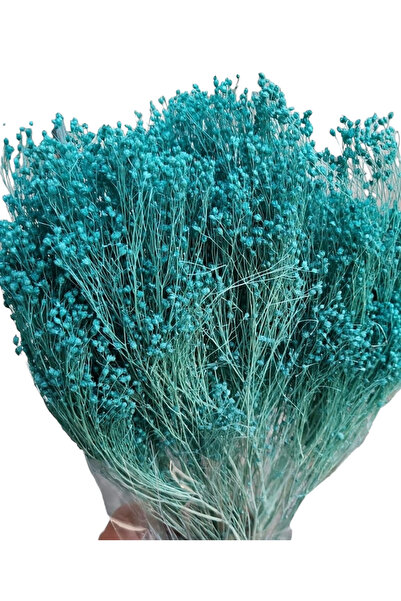 asievents Broom Bloom Turcoaz – plantă uscată decorativă 100g, 2 bucati