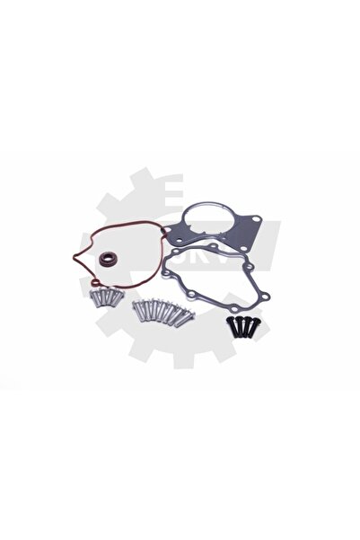 ESEN SKV KIT DE REPARARE A POMPEI DE VID VW MULTIVAN V 070145209F