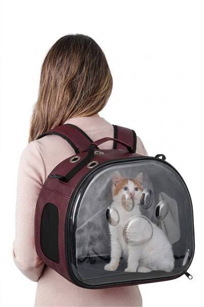 northern fashion Elips Kedi Taşıma Çantası
