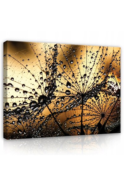Wallarena Tablou pentru living 3D DUCHAWCE mare modern 100x70