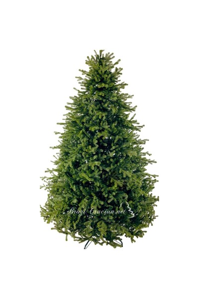 Xmasio Brad Artificial Evergreen Premium Full 3D 250 cm