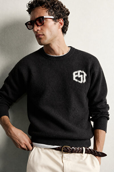 king brich Men's Patterned Crew Neck Knitwear Sweater