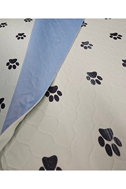 CDE Abso Patili 5-Layer Patient Underpad 75X85 cm Liquid-Proof