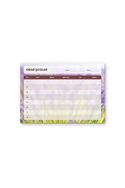 OEM Orar școlar Câmp de lavandă, Luni-Vineri 8 ore, Carton 250g, A4 Landscape