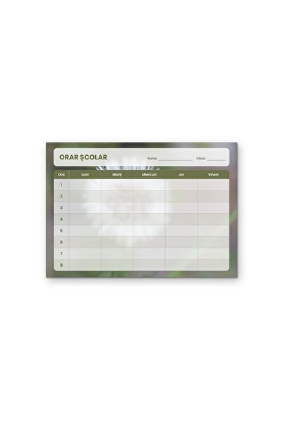 OEM Orar școlar Păpădie, Luni-Vineri 8 ore, Carton 250g, A4 Landscape