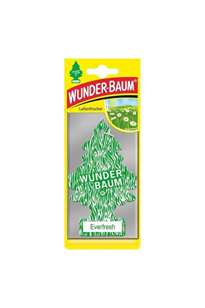 Generic ODORIZANT AUTO BRADUT EVERFRESH (AER PROASPAT) Wunder-Baum 7612720202942