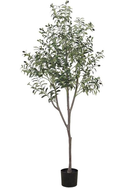 Generic شجرة زيتون صناعية، بطول 5 أقدام (150 سم)، نباتات زيتون صناعية من الحر...