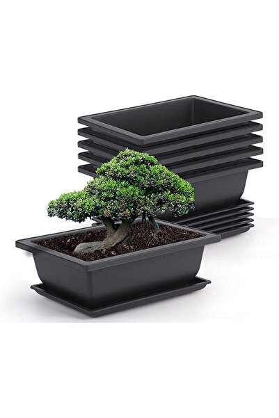 Generic 6 Packs 9 Inches Bonsai Pots Bonsai Plants Training Plastic Growing P...