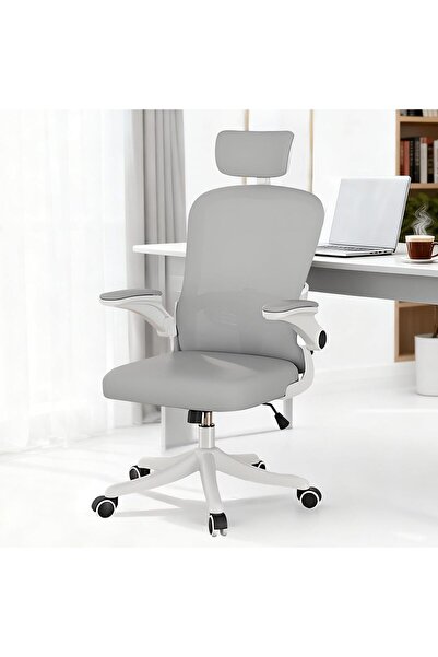 Generic Ergonomic Mesh Office Chair with Adjustable Lumbar Support & Flip-Up ...