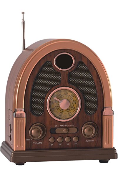 Generic راديو محمول AM/FM، راديو محمول بتصميم كلاسيكي يدعم TF، USB، TWS، بلوت...