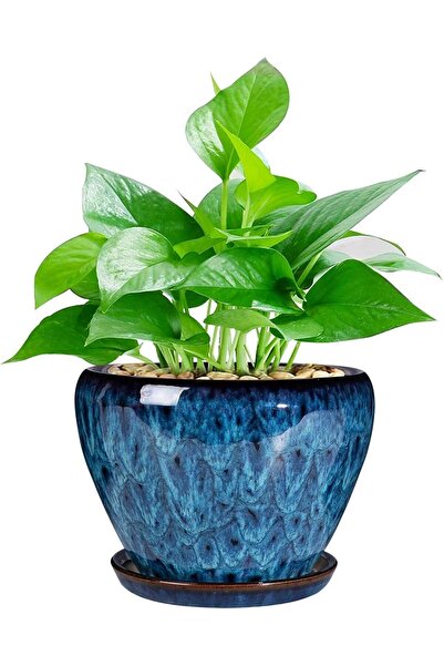 Generic Ceramic Modern Glaze Planter Pot 8 Inch with Drainage Hole & Saucer -...